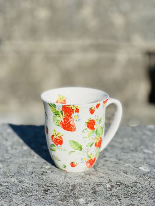 Hovedbilde GARDEN STRAWBERRIES KOPP
